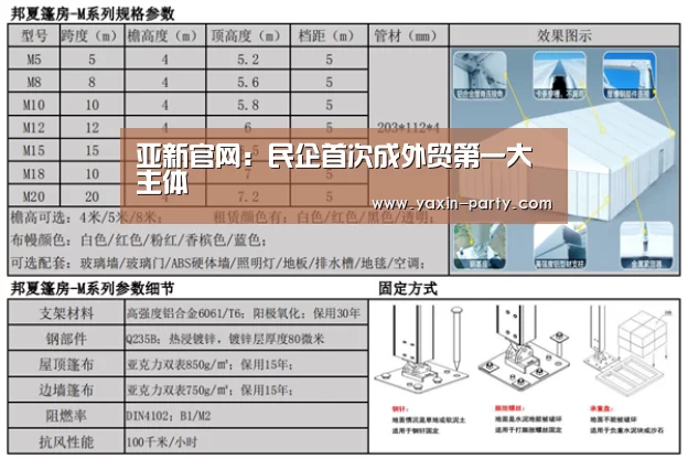 亚新网站