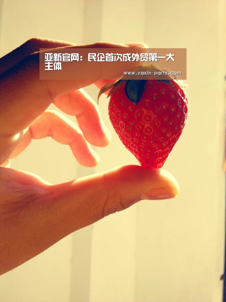 亚新网站