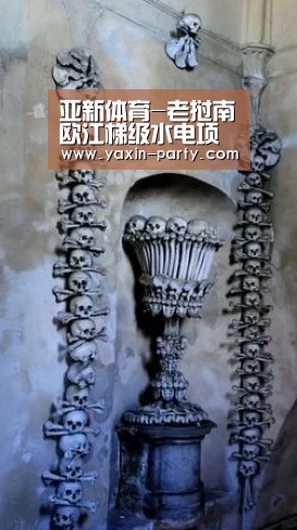 亚新体育-老挝南欧江梯级水电项目二期首台机组发电(图4)