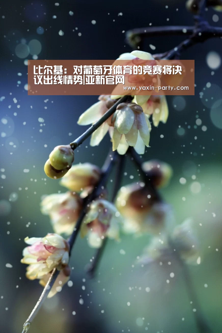 亚新体育