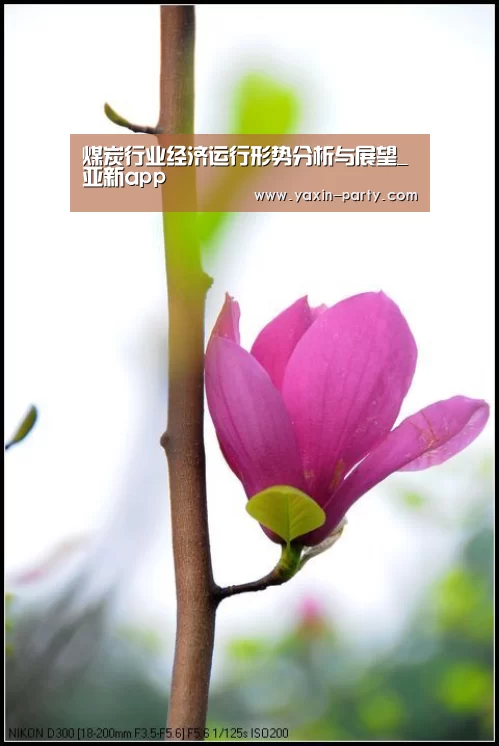 亚新体育