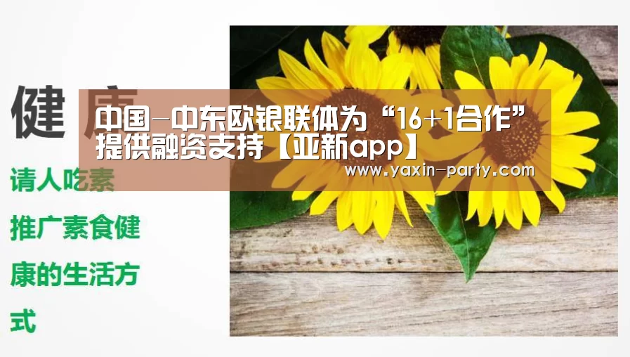 亚新官网