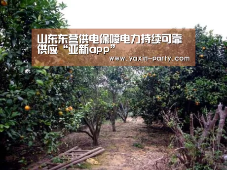 山东东营供电保障电力持续可靠供应“亚新app”(图1) 亚新官网
