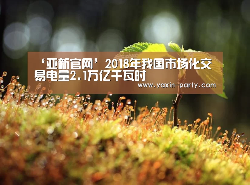 ‘亚新官网’2018年我国市场化交易电量2.1万亿千瓦时(图3) 亚新app